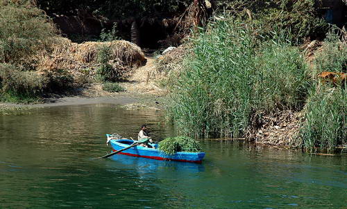 Daily life scene on the Nile River in Egypt. Photo by Ferrell Jenkins.